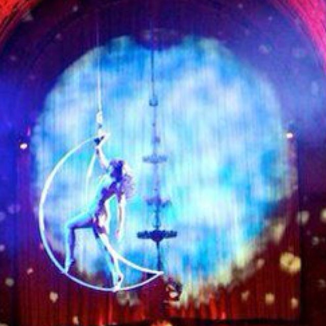 rockitaerials's profile picture. Pioneer of the Aerial Arts World, Manifestor of creative visions, Architecture lover (especially ceilings) CCNA Certified, Rookie Screenwriter