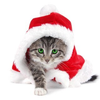 Demise_Vanish's profile picture. Proud member of Demise Gaming | Slayer | Its not happy people who are thankfull, its thankfull people who are happy | DREAM BIG