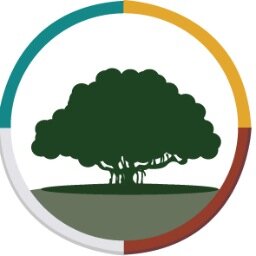 Holistic healthcare as a modernized, reimagined innovation. Acupuncture, meditation, massage therapy, nutrition, with coaching for your wellness and wellbeing.