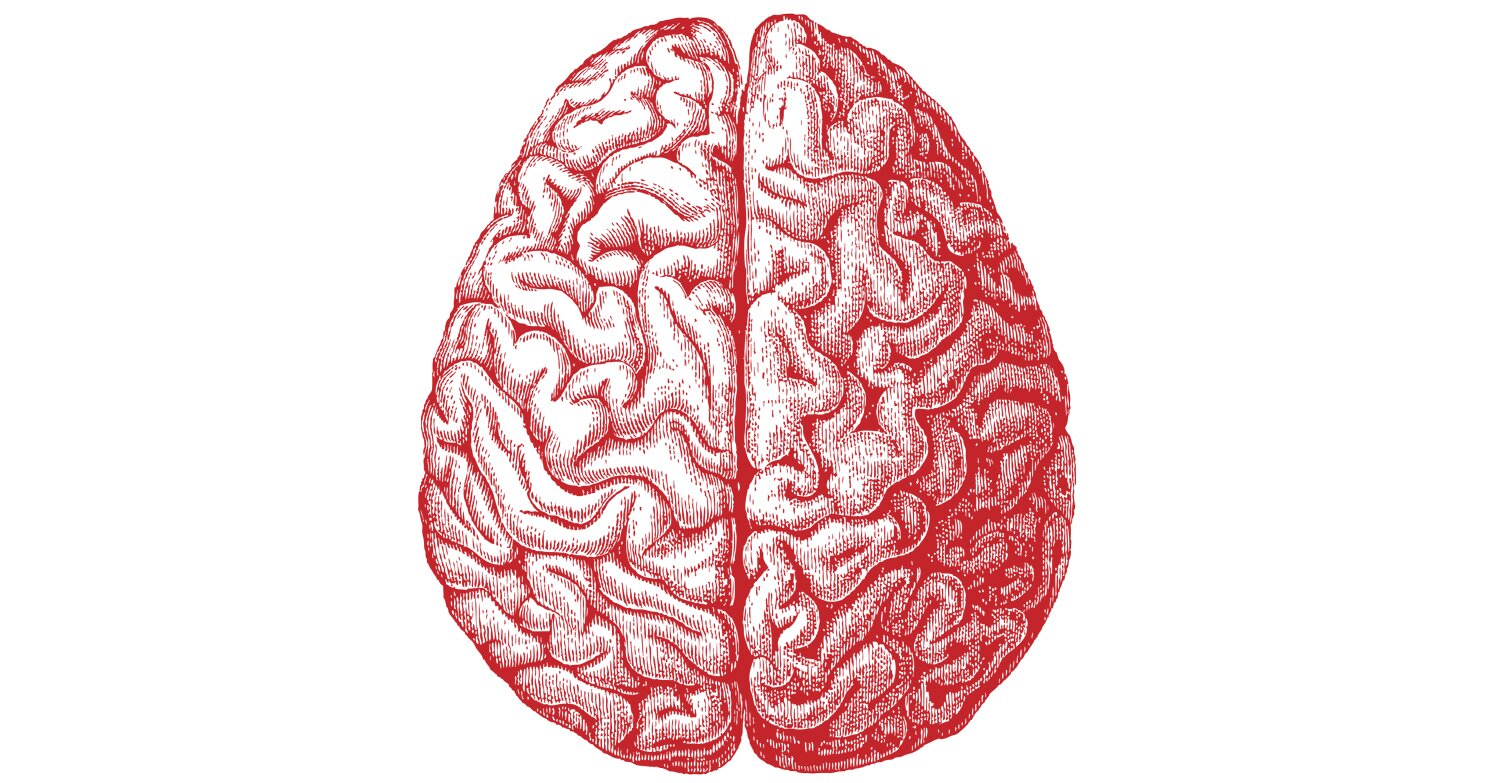 The University of Cincinnati Psychology Club is a student run org for psych majors, minors and students with a general interest in psychology. NEW & IMPROVED