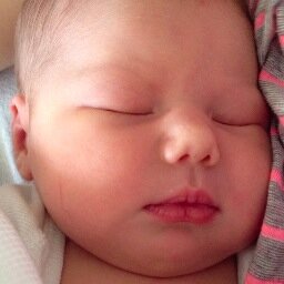 Isalanne's profile picture. New to Twitter. And the world.