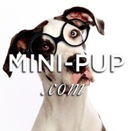 minipupnyc's profile picture. Mini is a great dane and she likes to play dress up. Oh, and she curates high-end children's wear.