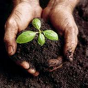 Abono Organic (@0161Jeye) Twitter