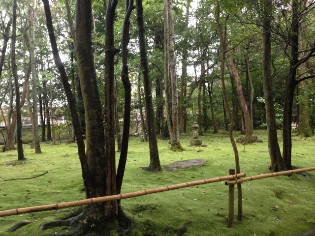 平和主義者です/歴史修正・あらゆる差別に反対します / 戦争反対/ JCPみよし支部/🇵🇸Free Palestine 🇵🇸
