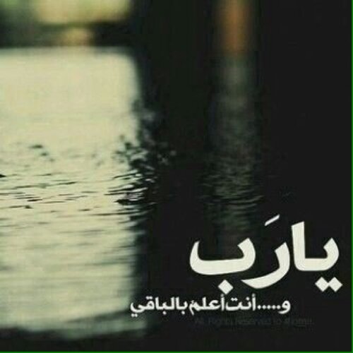 سبحان الله وبحمده سبحان ربي العظيم