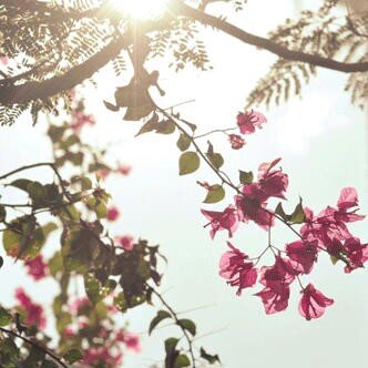 مدرسه خصوصيه لماده الرياضيات للمرحلتين المتوسطه والابتدائيه..


الاحسساء..