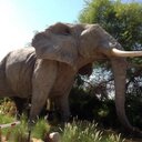 Warren Hendricks - @1273earl - Twitter