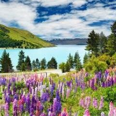Terrible is the fight put up by the senses. Fight bravely! Conquer them you must.-Swami Sivananda