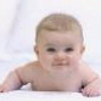 basemkelany (@basemkelany) 's Twitter Profile