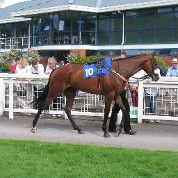 Thoroughbred breeder for 40 plus years, with the best years still to come...