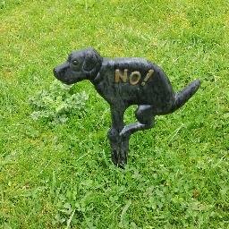 loosechangecoll's profile picture. We make stuff up