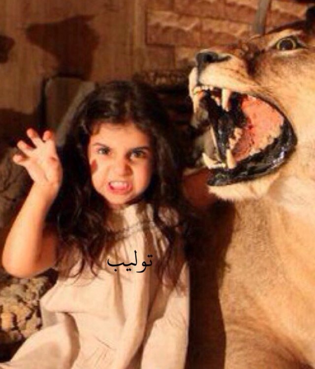 -------------------------------------------------------------------------لم اُخلق لارضي أحد.