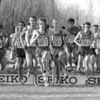 Sólo Monte (@montelareina) 's Twitter Profile