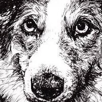 Claire Fisher - Artist (@clairefisherart) 's Twitter Profile