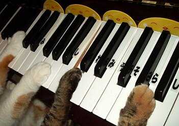 ピアノの先生です♪ 【どれみっち♪】(特許取得)というレッスングッズを開発・・・その後、製造を中止していましたが、2014年、大阪村上楽器様 ( くおん出版様 ) のご協力によって再販できました。今後ともよろしくお願いします！　　サブアカ( にゃんこアカ )生活も始めました～☆