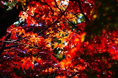 趣味は写真。楽しくゆるく生きていきたい。Appleラブ。
♯iPhone ♯Apple ♯フォロミー ♯followme
