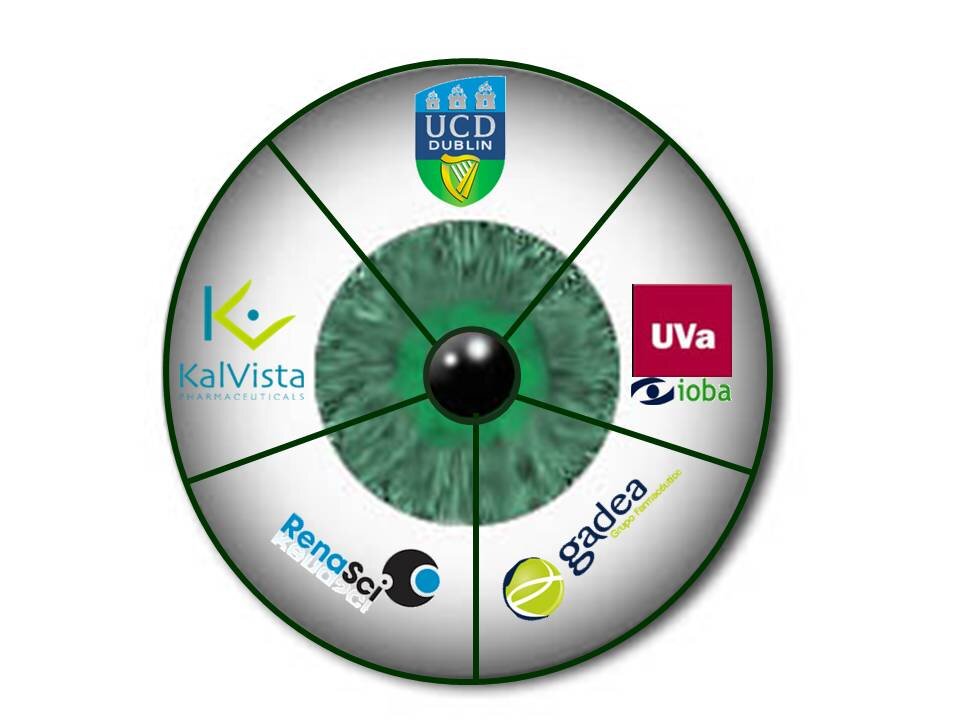 3D-NET, is a new European consortium of industry and academic partners focussed on “Drug Discovery & Development of Novel Eye Therapeutics”