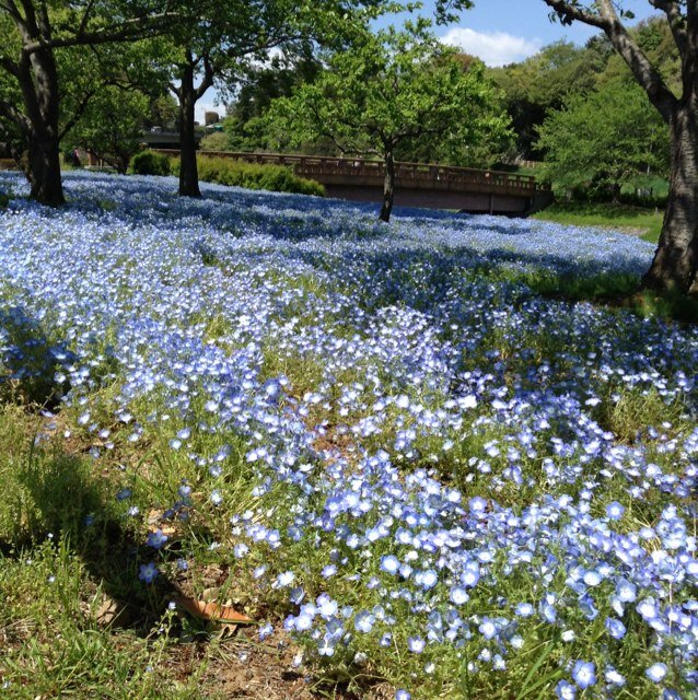 茨城県在住です。コロナワクチン7回打ったよ。
来年からいくらになるのかしら？