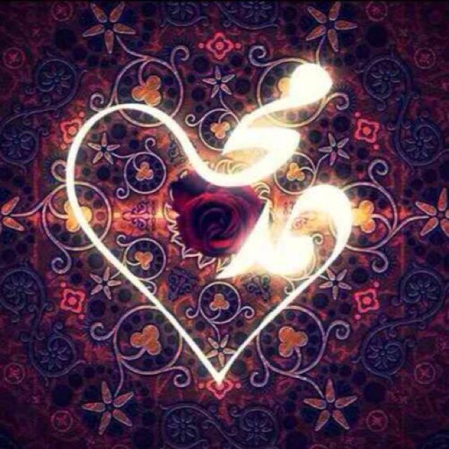 ms_aljohani's profile picture. 