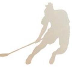 naissalibandyfi's profile picture. http://t.co/LtHMG22Lgy on naisten salibandymaailman uutisia välittävä sivusto / A website concentrating to women's floorball news