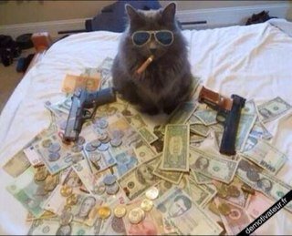 Dans le fond, assez cool.....