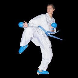 LICENCIADO EN CC DE LA ACTIVIDAD FÍSICA Y DEL DEPORTE, MIEMBRO DEL EQUIPO NACIONAL DE KARATE.