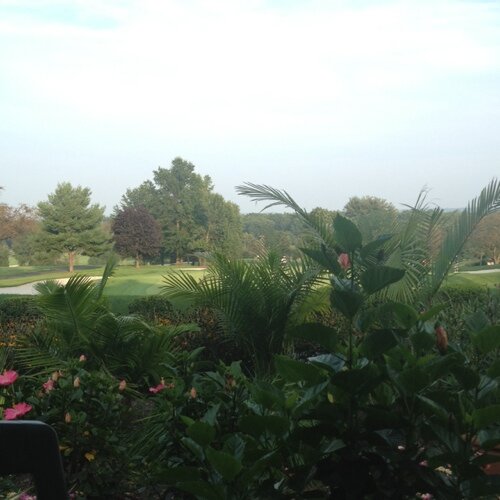 mongeyboy's profile picture. 