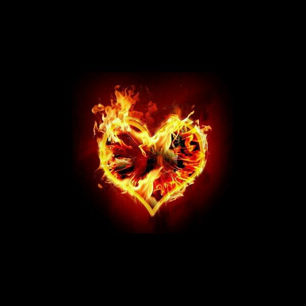 afzonweb's profile picture. pencari kata ketiga setelah cinta dan pulang