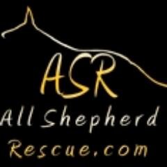 Finding great homes for German Shepherd Dogs and GSD mixes. A 501(c)3 organization. In Maryland, Virginia, Pennsylvania, and Washington D.C.