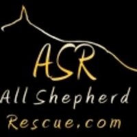 All Shepherd Rescue(@AllShepherdResq) 's Twitter Profile Photo