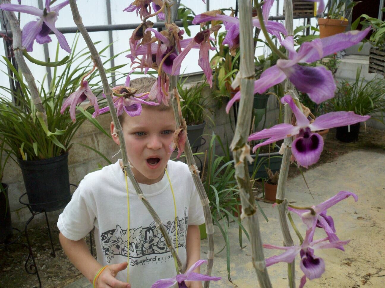 DoYourDream44's profile picture. Aspergers vacation help is my mission. These children deserve to go too and I will make it happen by providing an assistant to help with difficult moments.