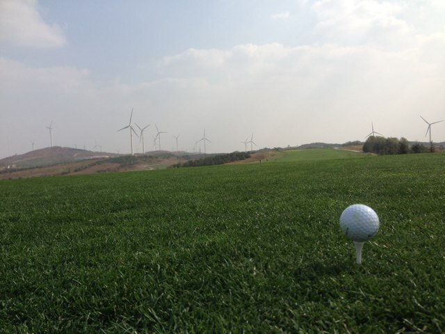 xcopy21's profile picture. 만추를 보고파