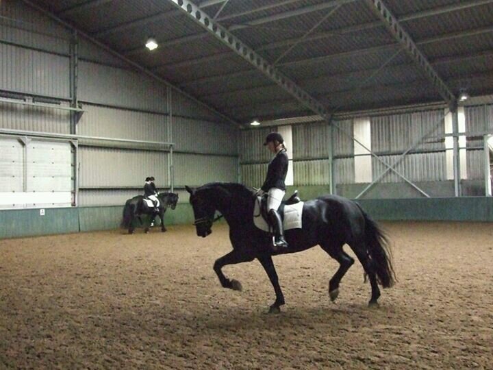 lauravwolferen's profile picture. 