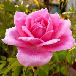 I Love Nature and God.