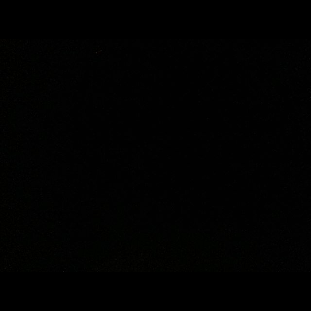本垢だけにします。