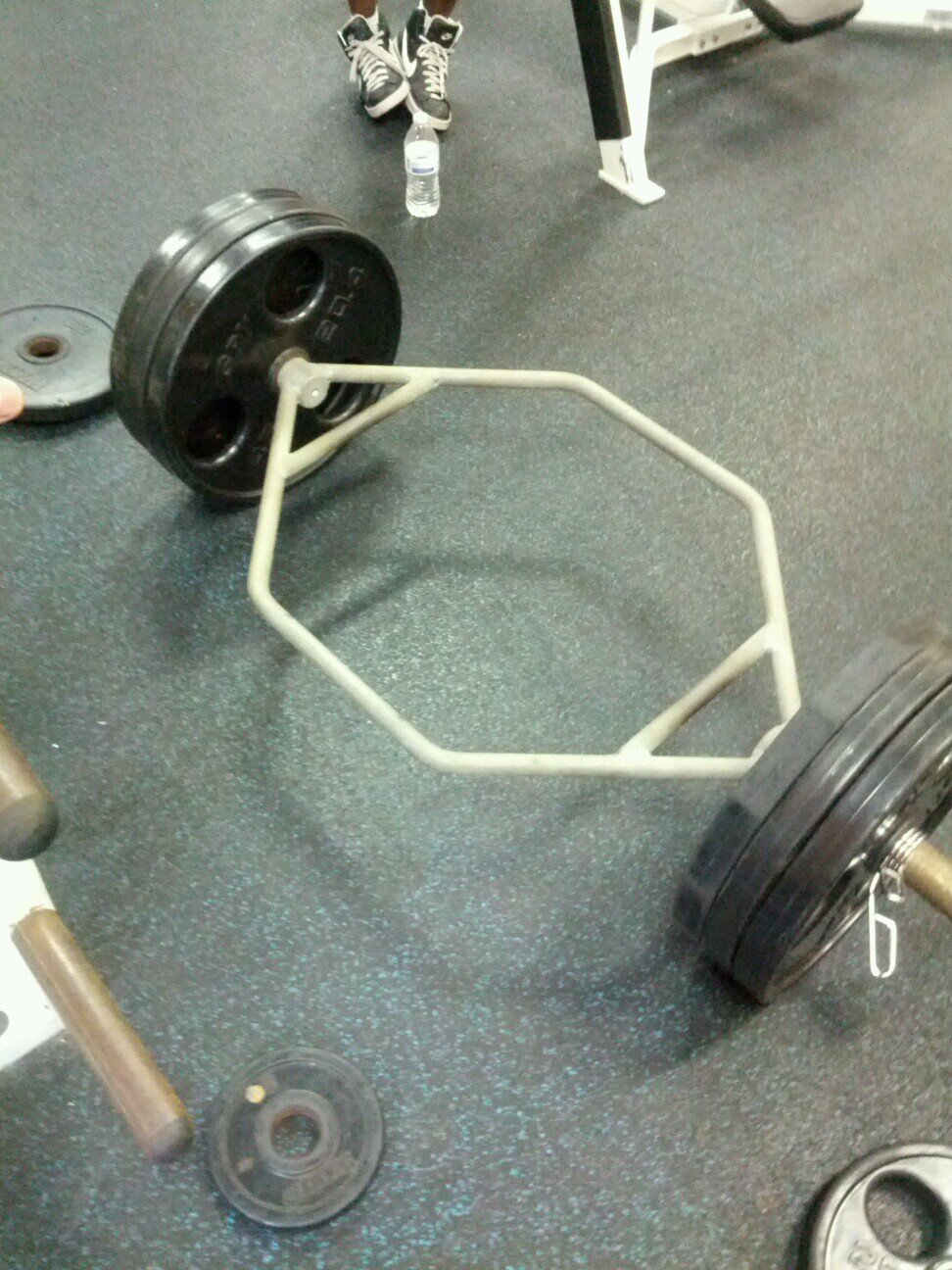 ECULifter's profile picture. I just love weights and getting stronger. #ECU Kik me @ECULifter