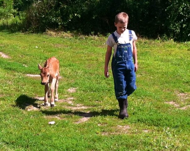 3-acre homesteader, Mom, Wife, Kindle Author, Writer, Cheesemaker, Winemaker, Butter-churner, maple sugarer, always open to new bright homesteading ideas.