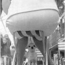 Robin Huff - @robinhuff64 - Twitter