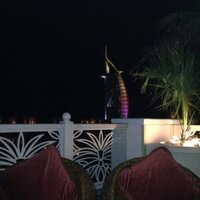 JAV MOVIES Martinez (@alslem1) 's Twitter Profile Photo