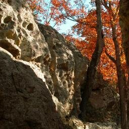 PreethiChirps's profile picture. 