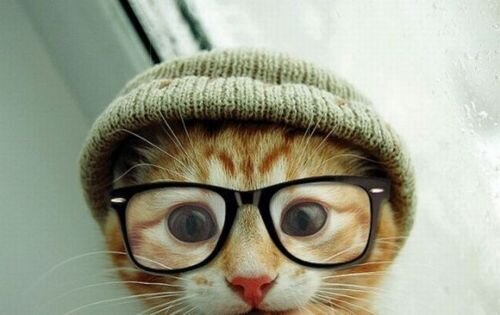 All the hipster band names you've ever wanted, in one convenient location. #Hipster #Bandname