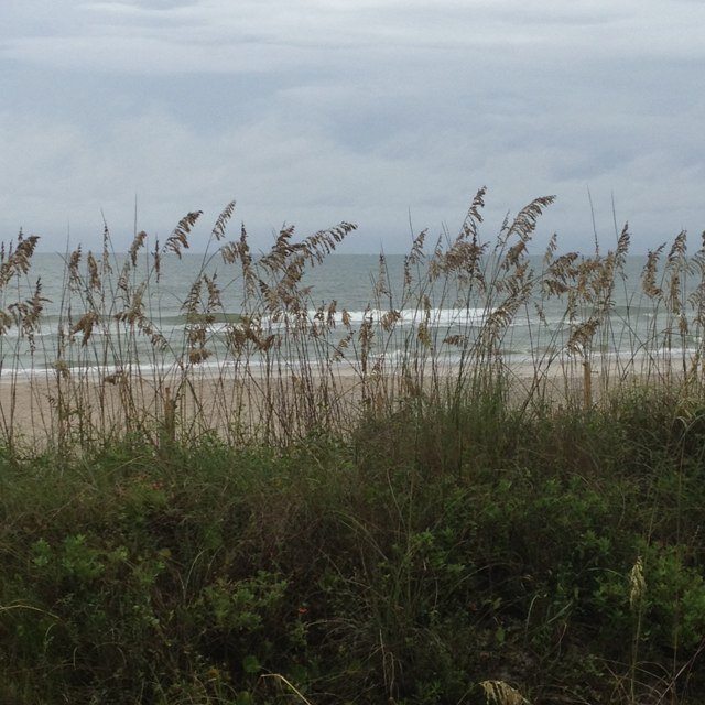 CarrieMitter's profile picture. 