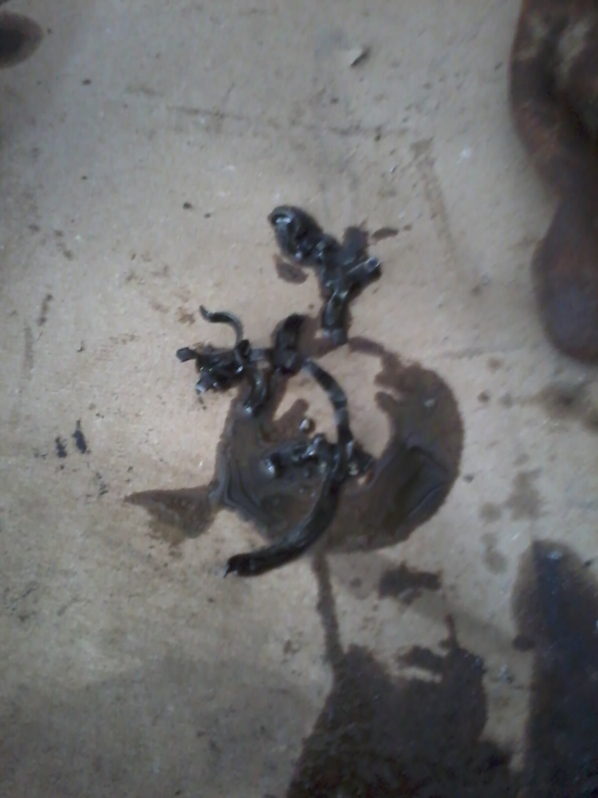 24_alexcalle's profile picture. 