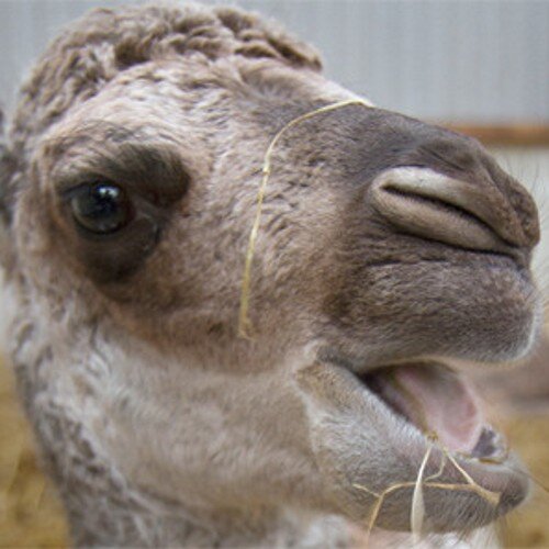 LessonsDaily's profile picture. Making mistakes so you don't have to