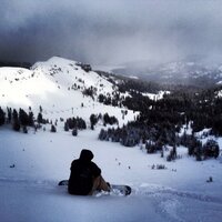 A Akbari (@ali__akbari) 's Twitter Profile