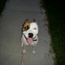 dana compton - @dana9286 - Twitter