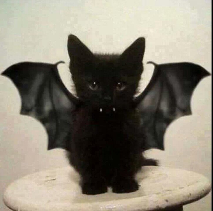 sammac297's profile picture. 