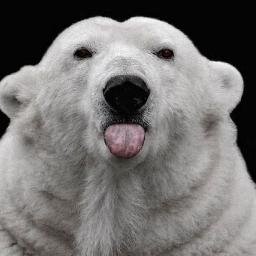 oilrec's profile picture. I'm just me! personal opinion. not pc, anti bullshit, dont tolerate stupidity, cat lover, anti-war, pro truth, enjoy good music & books.