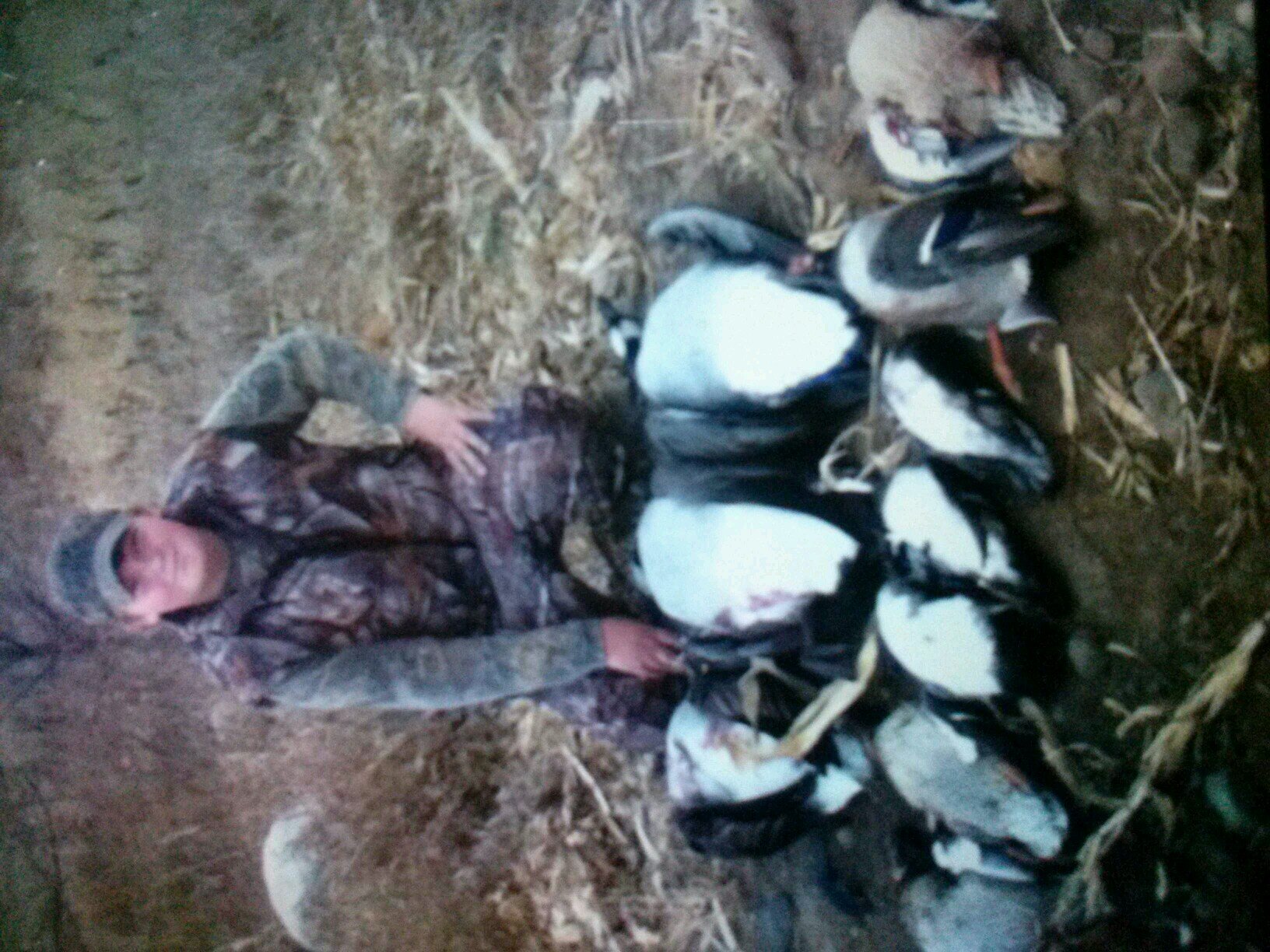 hpfarr99's profile picture. Hunting the river valley of MN pro staff of River Valley Waterfowlers