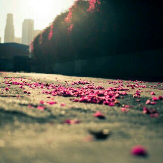 ‏‏‏‏‏‏‏‏‏‏ربي أحسن خاتمتي .. وَ أصرف عني ميتته السوء وَ لا تقبض روحي الأ وَ أنت راضيٍ عنهآ..